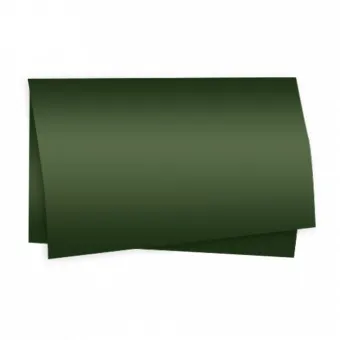 POLI SUJINHO LISO/DECORADO - Imagem 20